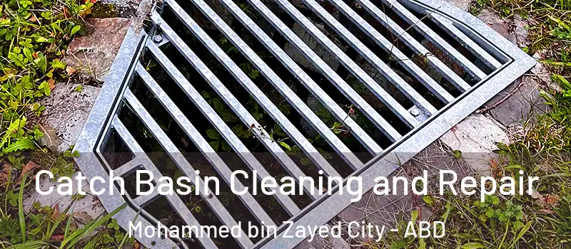  Catch Basin Cleaning and Repair Mohammed bin Zayed City - ABD