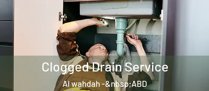  Clogged Drain Service Al wahdah - ABD