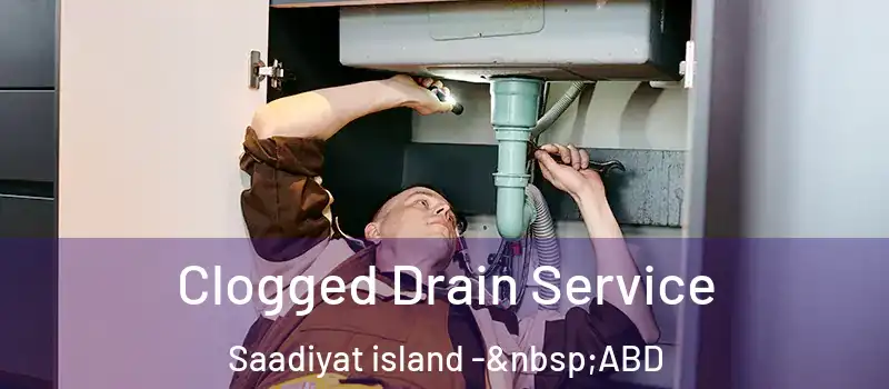  Clogged Drain Service Saadiyat island - ABD