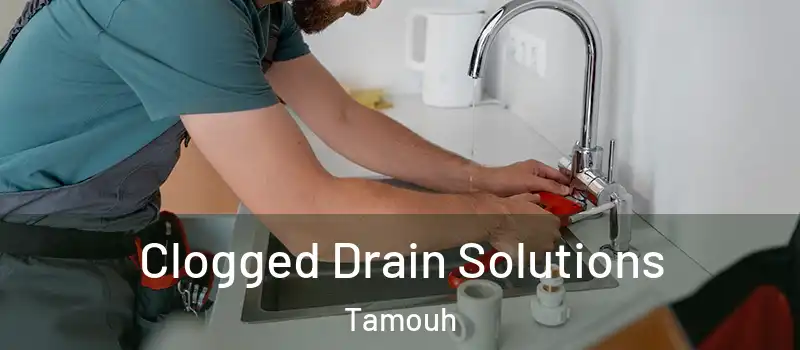  Clogged Drain Solutions Tamouh