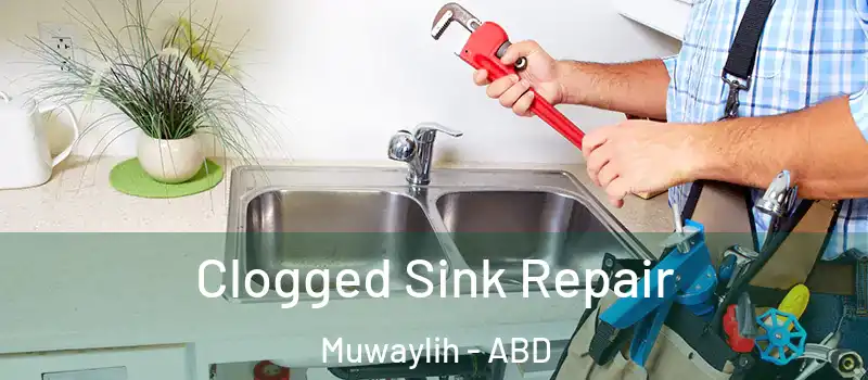  Clogged Sink Repair Muwaylih - ABD