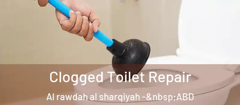  Clogged Toilet Repair Al rawdah al sharqiyah - ABD