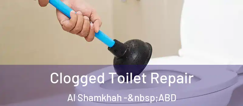  Clogged Toilet Repair Al Shamkhah - ABD