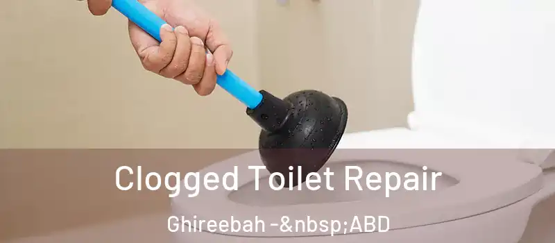  Clogged Toilet Repair Ghireebah - ABD