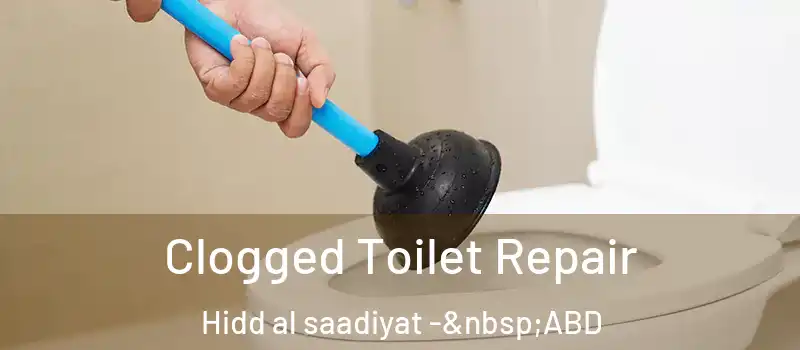  Clogged Toilet Repair Hidd al saadiyat - ABD