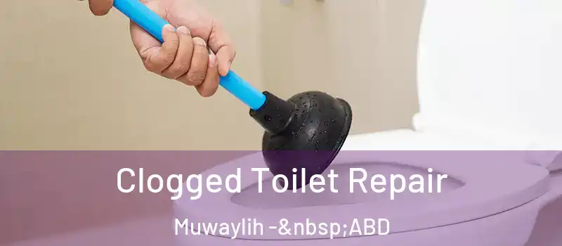  Clogged Toilet Repair Muwaylih - ABD