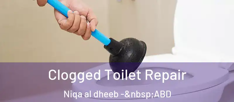  Clogged Toilet Repair Niqa al dheeb - ABD