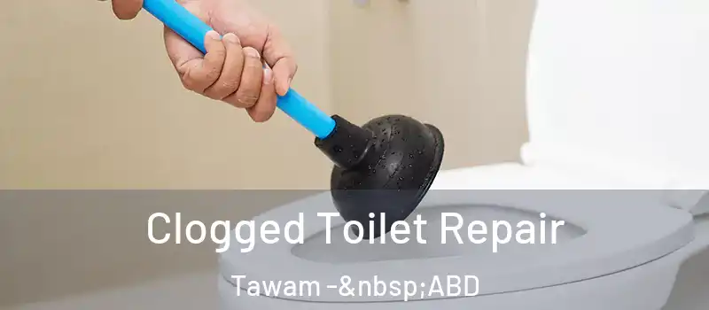  Clogged Toilet Repair Tawam - ABD