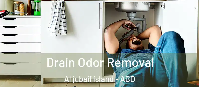  Drain Odor Removal Al jubail island - ABD