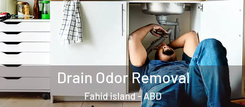 Drain Odor Removal Fahid island - ABD