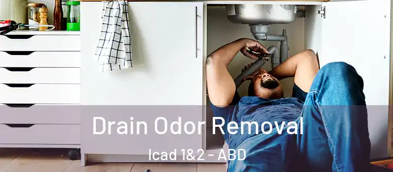  Drain Odor Removal Icad 1&2 - ABD