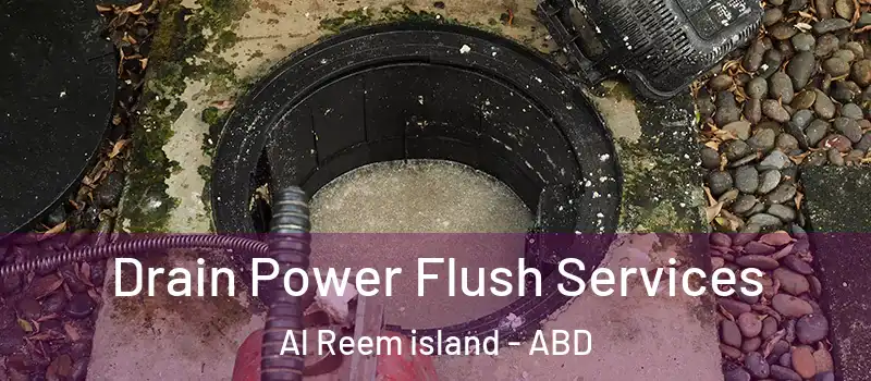  Drain Power Flush Services Al Reem island - ABD