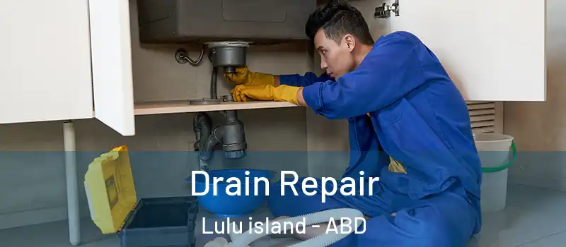  Drain Repair Lulu island - ABD