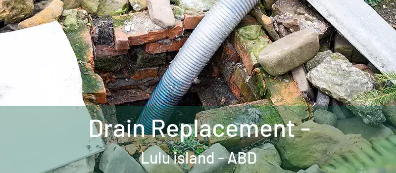  Drain Replacement - Lulu island - ABD