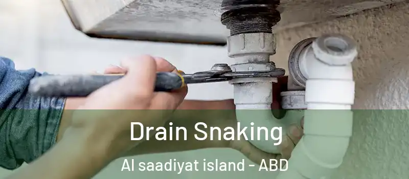  Drain Snaking Al saadiyat island - ABD