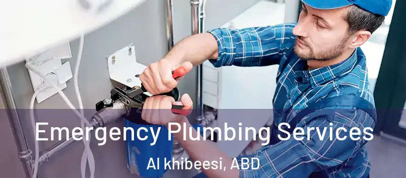  Emergency Plumbing Services Al khibeesi, ABD