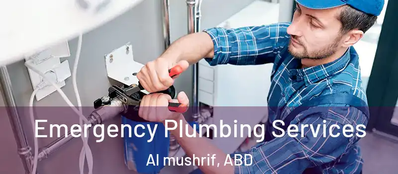  Emergency Plumbing Services Al mushrif, ABD