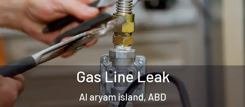  Gas Line Leak Al aryam island, ABD