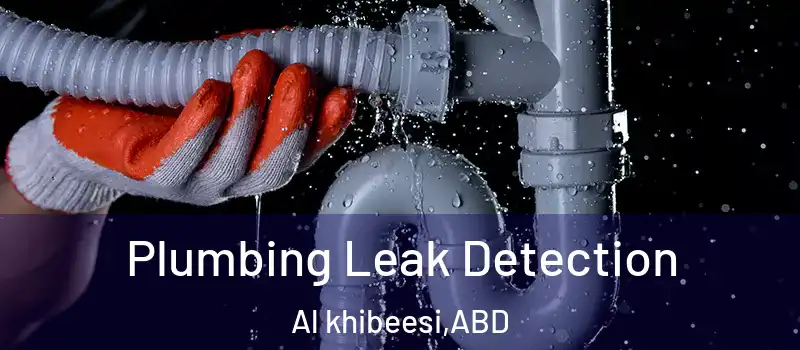  Plumbing Leak Detection Al khibeesi - ABD