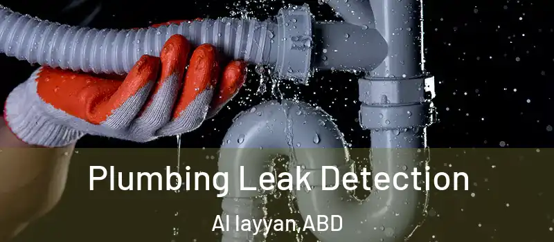  Plumbing Leak Detection Al layyan - ABD