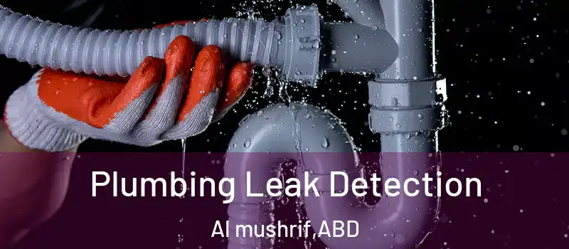  Plumbing Leak Detection Al mushrif - ABD