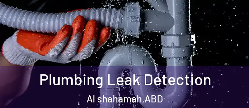  Plumbing Leak Detection Al shahamah - ABD