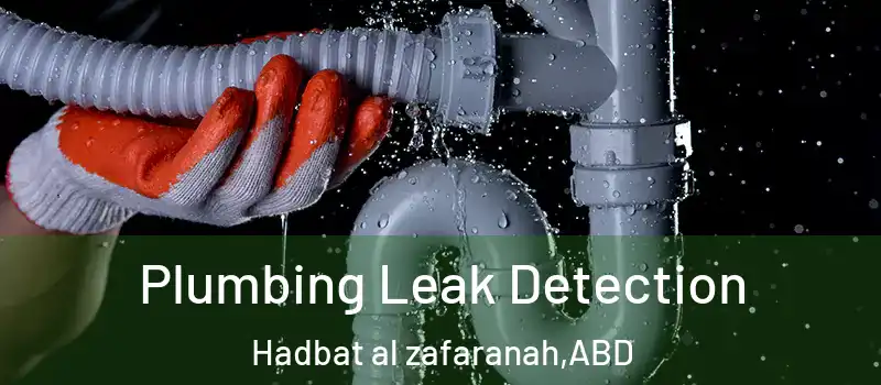  Plumbing Leak Detection Hadbat al zafaranah - ABD