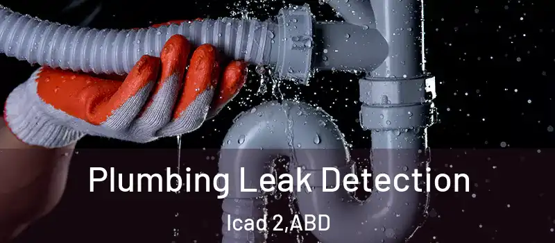  Plumbing Leak Detection Icad 2 - ABD