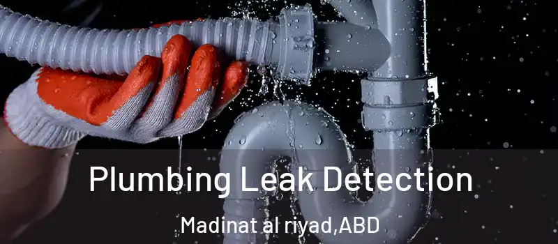  Plumbing Leak Detection Madinat al riyad - ABD