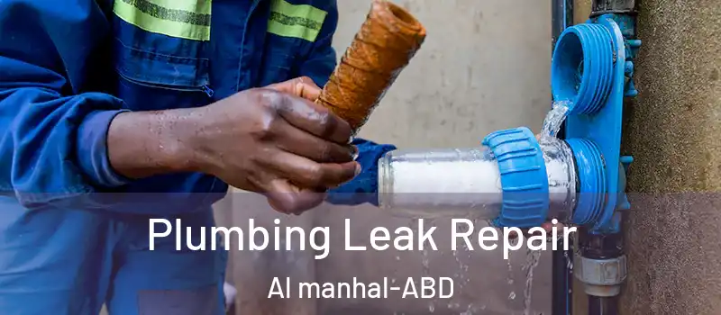  Plumbing Leak Repair Al manhal - ABD