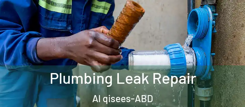  Plumbing Leak Repair Al qisees - ABD