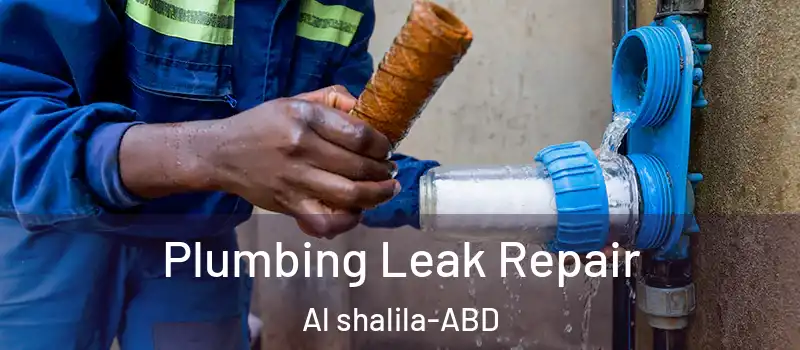  Plumbing Leak Repair Al shalila - ABD
