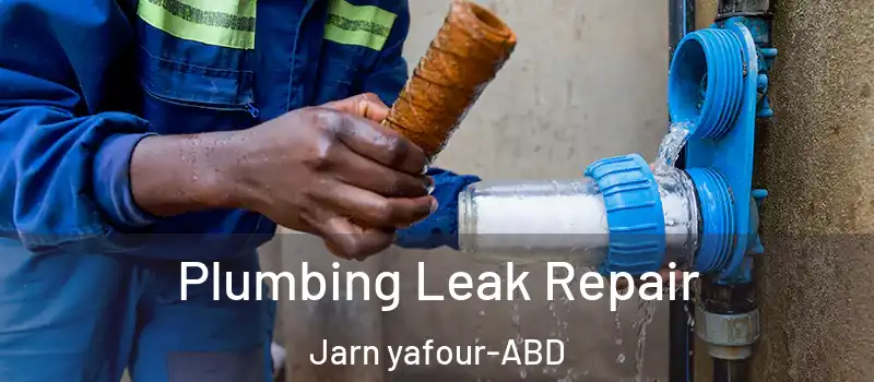  Plumbing Leak Repair Jarn yafour - ABD