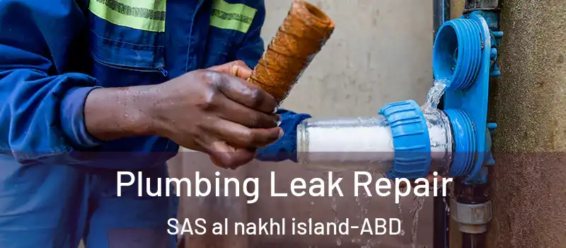 Plumbing Leak Repair SAS al nakhl island - ABD