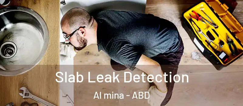 Slab Leak Detection Al mina - ABD