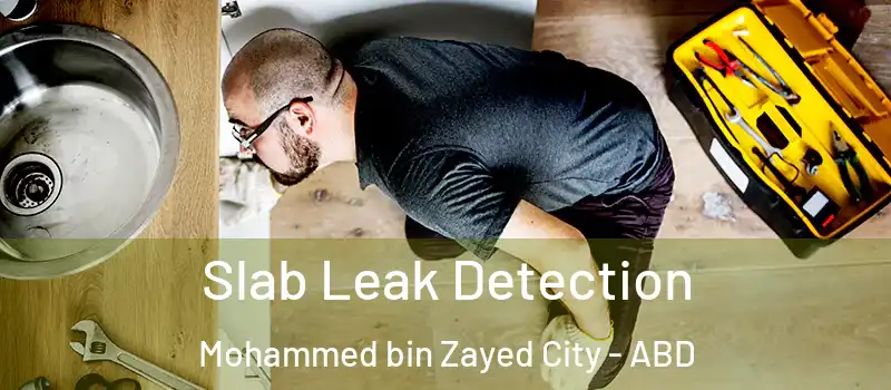  Slab Leak Detection Mohammed bin Zayed City - ABD