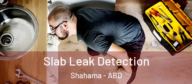  Slab Leak Detection Shahama - ABD