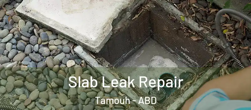  Slab Leak Repair Tamouh - ABD