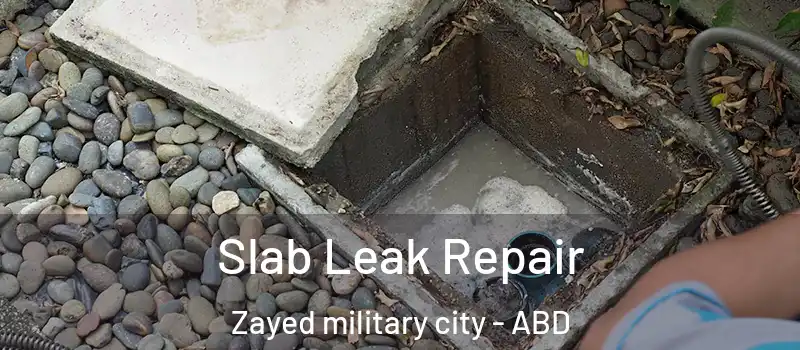  Slab Leak Repair Zayed military city - ABD