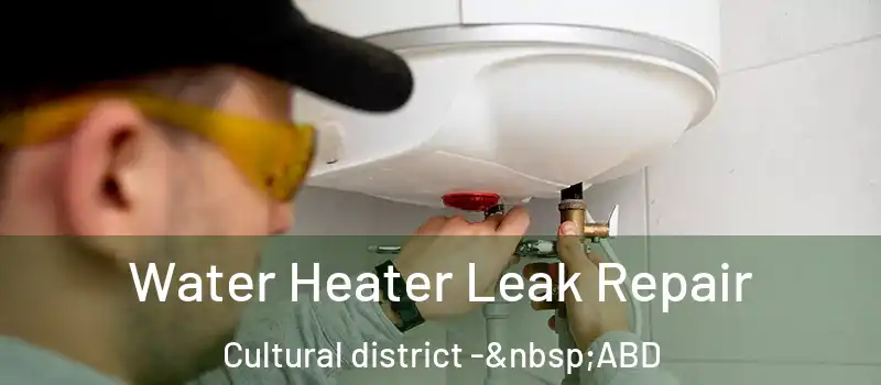  Water Heater Leak Repair Cultural district - ABD