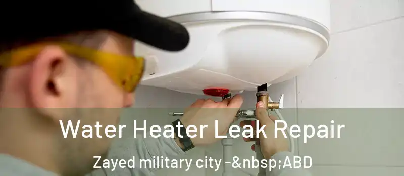  Water Heater Leak Repair Zayed military city - ABD