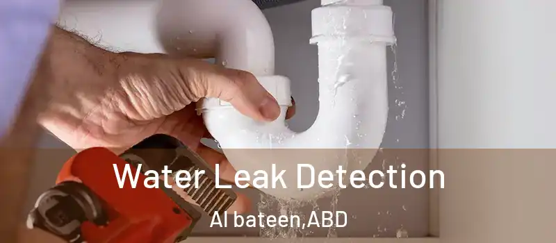  Water Leak Detection Al bateen - ABD