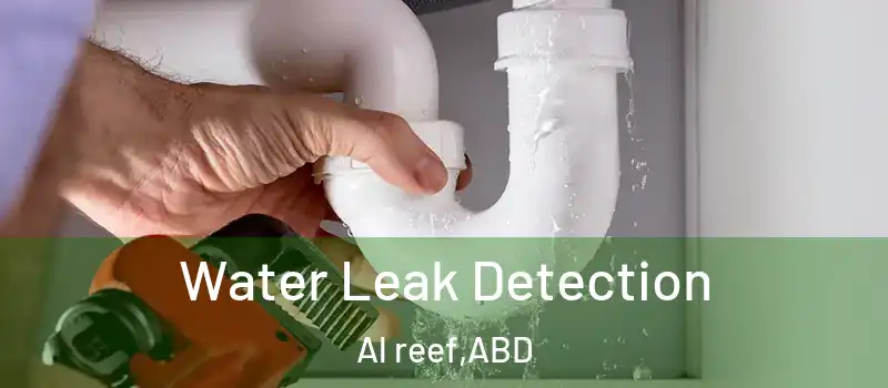  Water Leak Detection Al reef - ABD