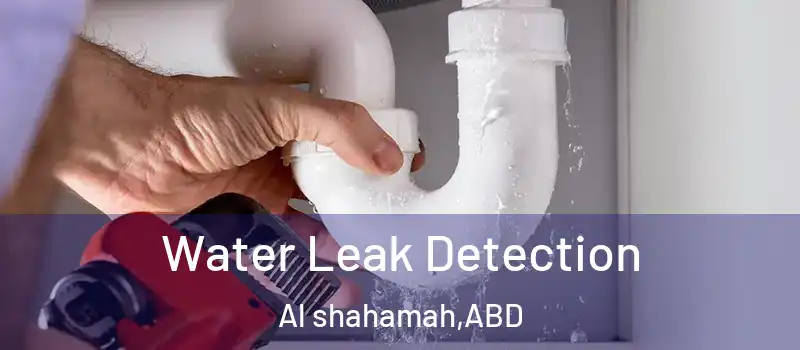  Water Leak Detection Al shahamah - ABD