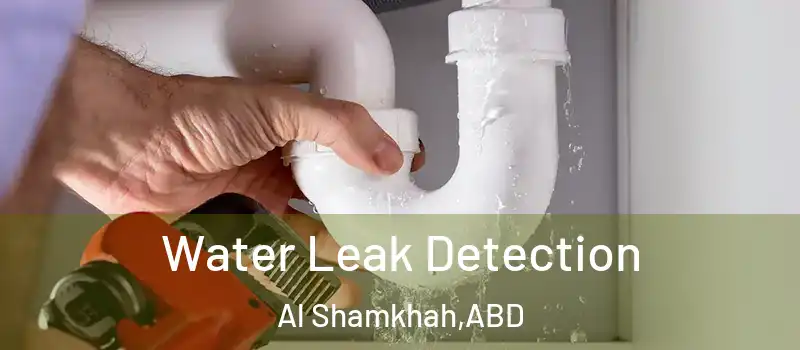  Water Leak Detection Al Shamkhah - ABD