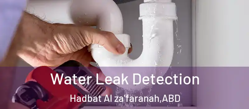  Water Leak Detection Hadbat Al za'faranah - ABD