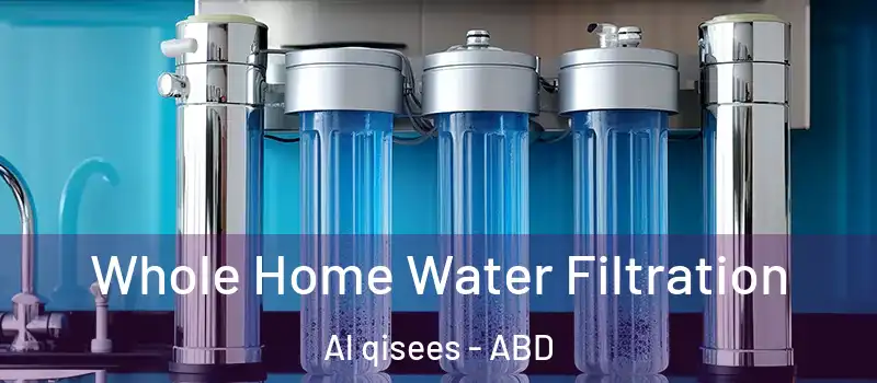  Whole Home Water Filtration Al qisees - ABD