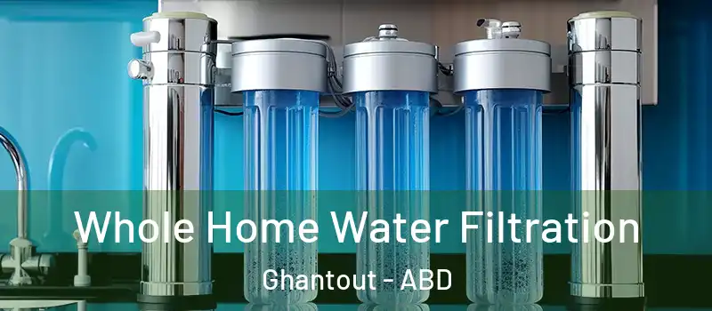  Whole Home Water Filtration Ghantout - ABD
