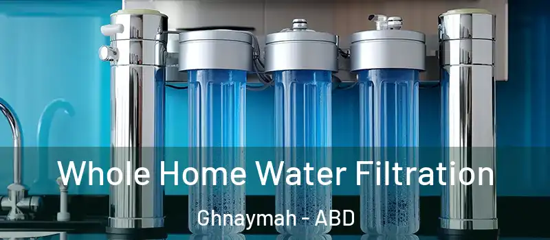  Whole Home Water Filtration Ghnaymah - ABD