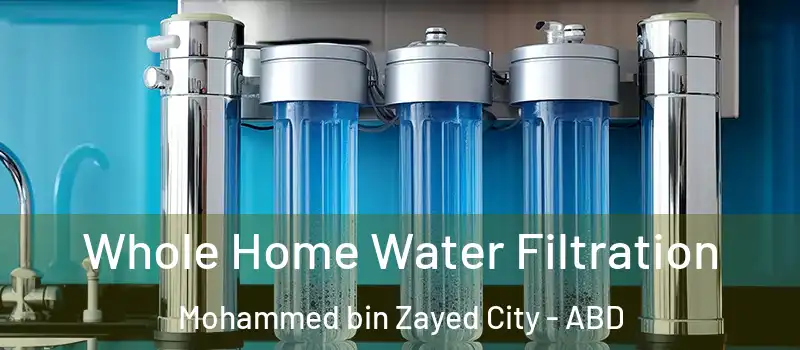  Whole Home Water Filtration Mohammed bin Zayed City - ABD